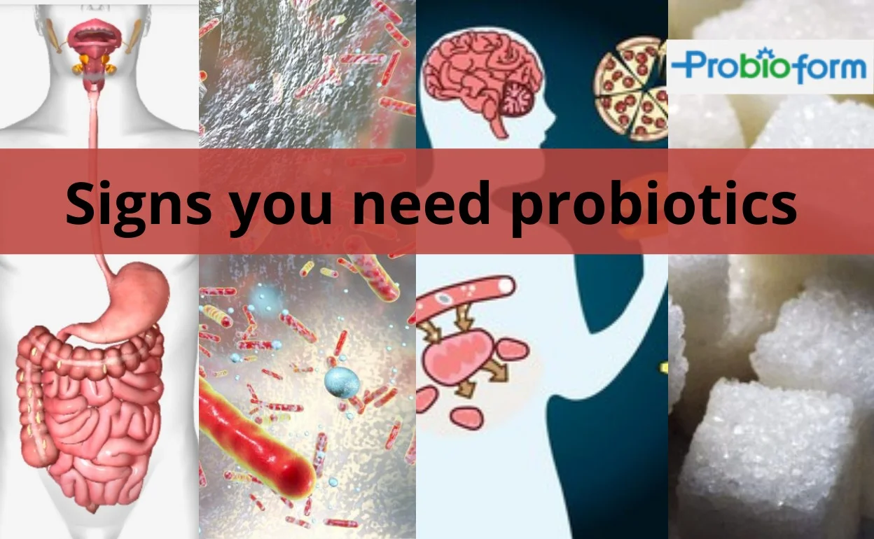 5 signs you need probiotics